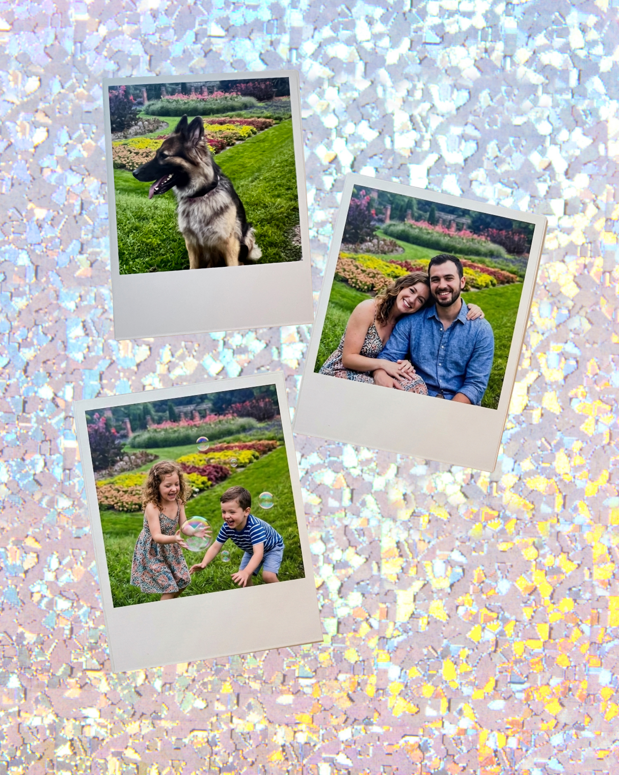 Collage of polaroid style family photo magnets on a glittery background