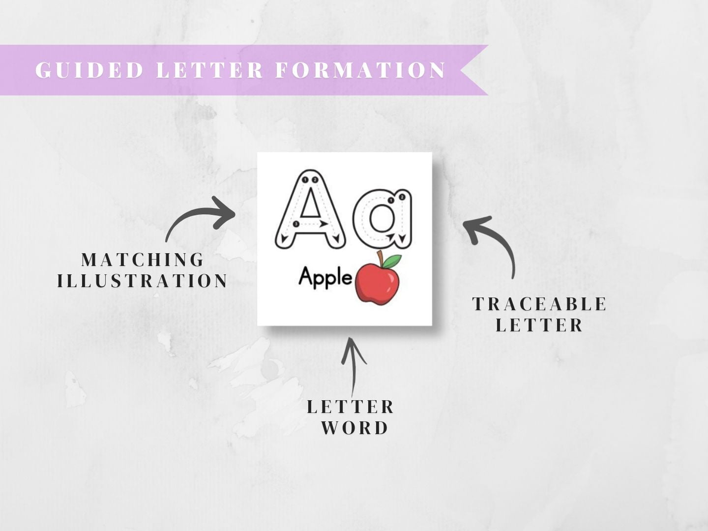 Montessori Alphabet Letters | Handwriting Practice & Fridge Magnet SVG Bundle